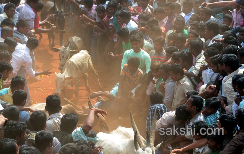 2014 Alanganallur Jallikattu - Sakshi27