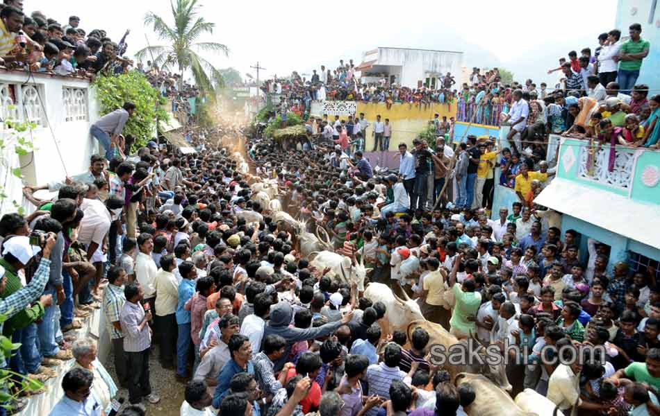 2014 Alanganallur Jallikattu - Sakshi32