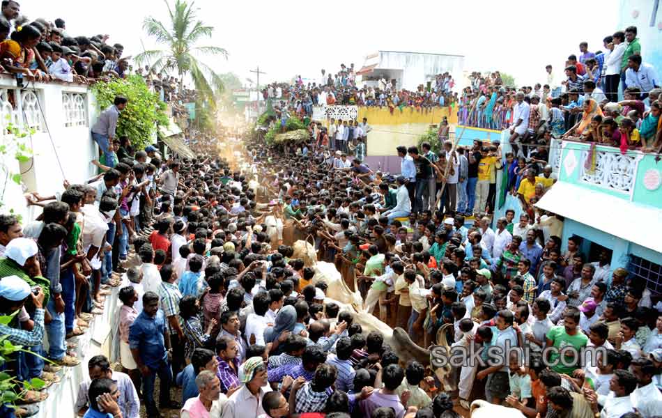 2014 Alanganallur Jallikattu - Sakshi37