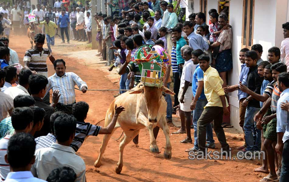 2014 Alanganallur Jallikattu - Sakshi44