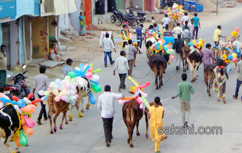 2014 Alanganallur Jallikattu - Sakshi46