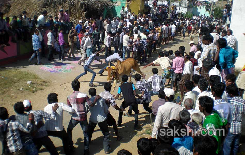 2014 Alanganallur Jallikattu - Sakshi54