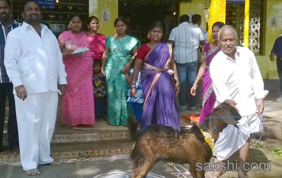 kite celebrations in gandipet4