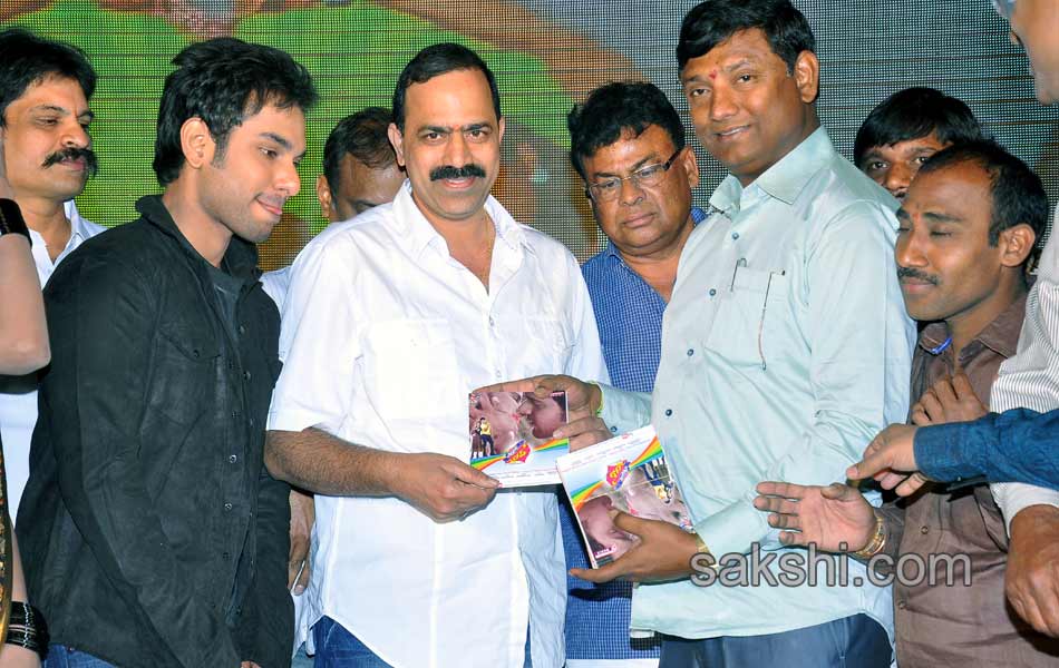 Present Love Audio Launch27