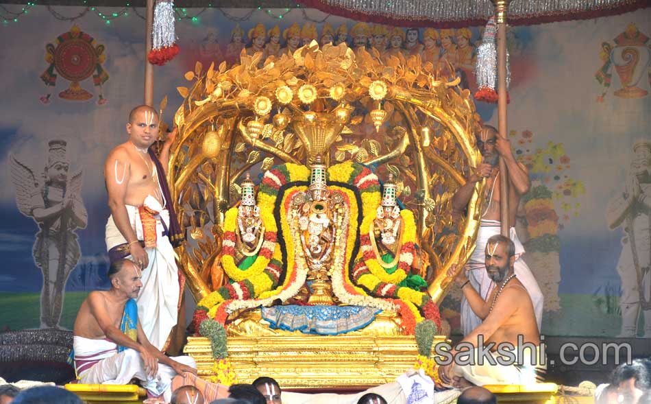 tirumala rathasapthami - Sakshi9