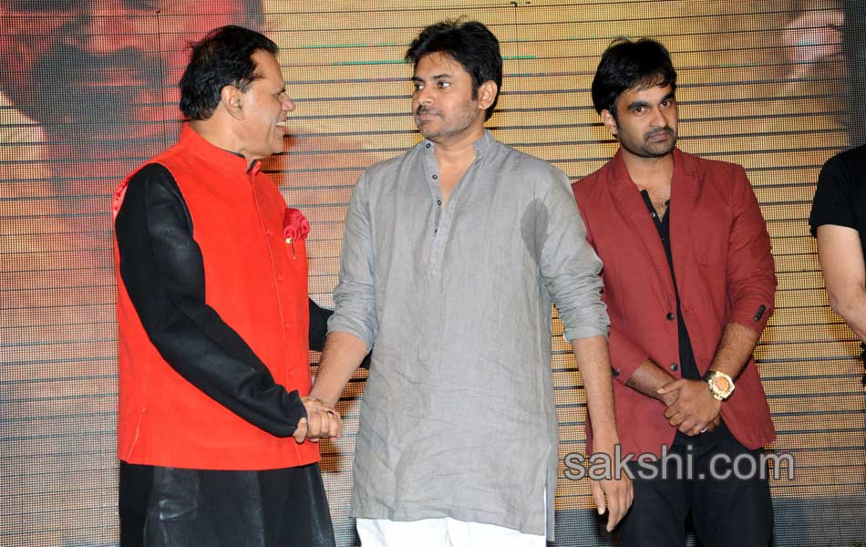 Pawan Kalyan to launch Basanthi audio - Sakshi9