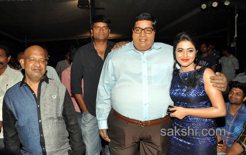 Laddu Babu Movie Audio Function - Sakshi7