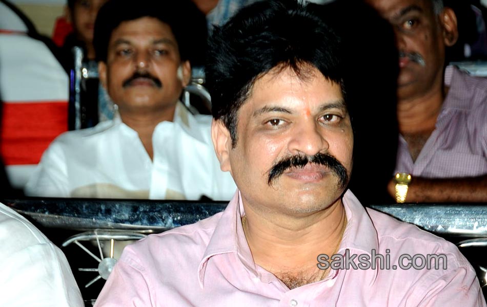 Chirunavvula Chirujallu Movie Audio Launch - Sakshi11