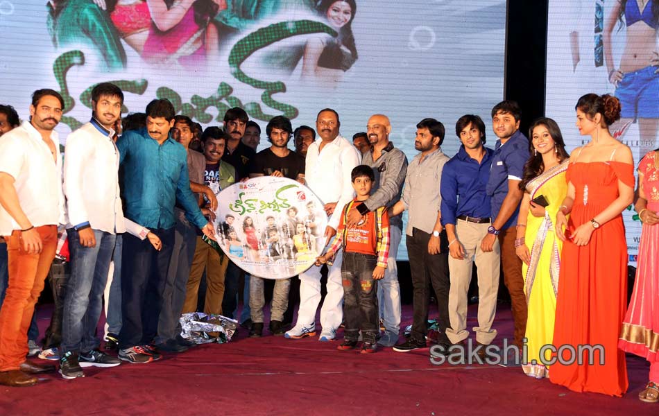 Green Signal Movie Audio Launch22