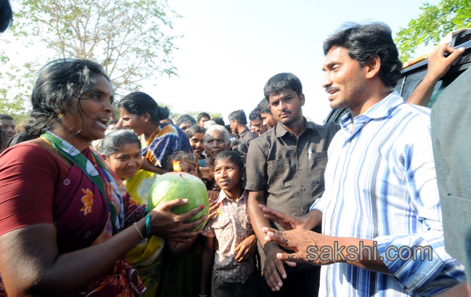 Jagan s Janapatham at Nellore District - Sakshi16