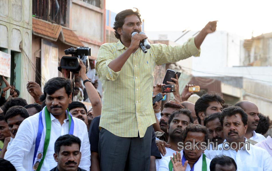 YSRCP Party leaders election campaign Meetings - Sakshi16