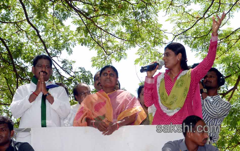 YSRCP Party leaders election campaign Meetings - Sakshi29