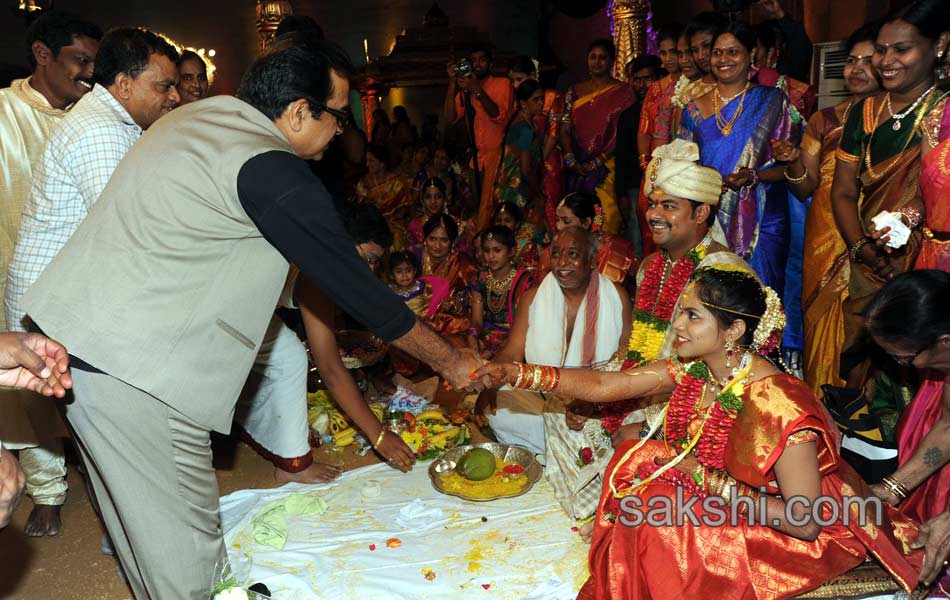 Producer Giri Daughter Wedding photos3