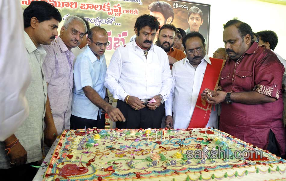 54th birthday celebrations of balayya - Sakshi8