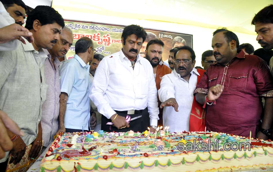 54th birthday celebrations of balayya - Sakshi9