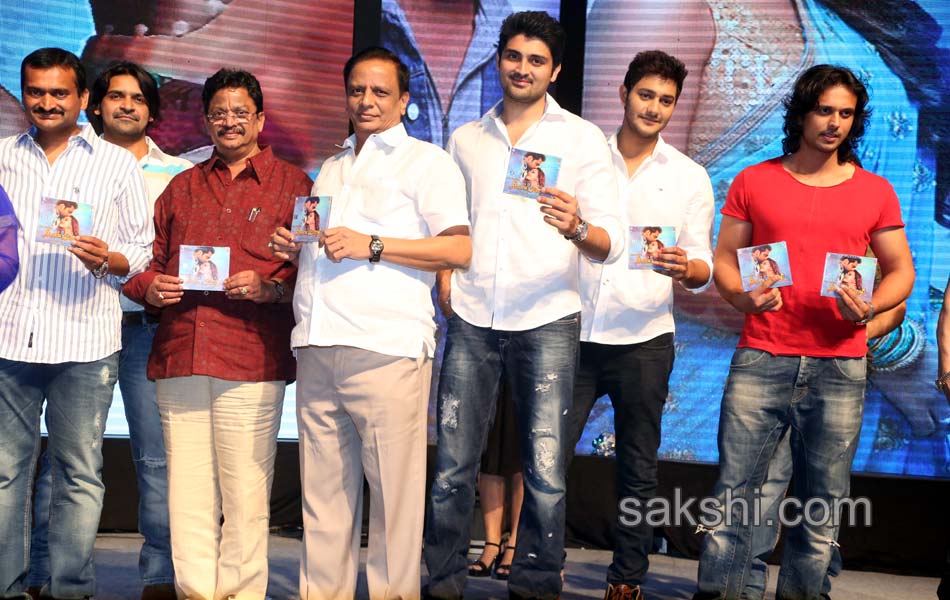 Nee Jathaga Nenundali Audio Launch - Sakshi5