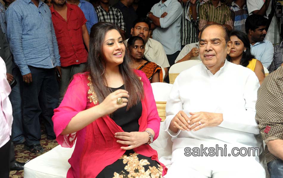 Drishyam Movie Success Meet - Sakshi13