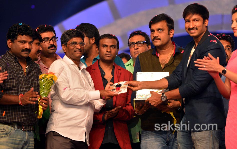 Loukyam Movie Audio Launch - Sakshi2