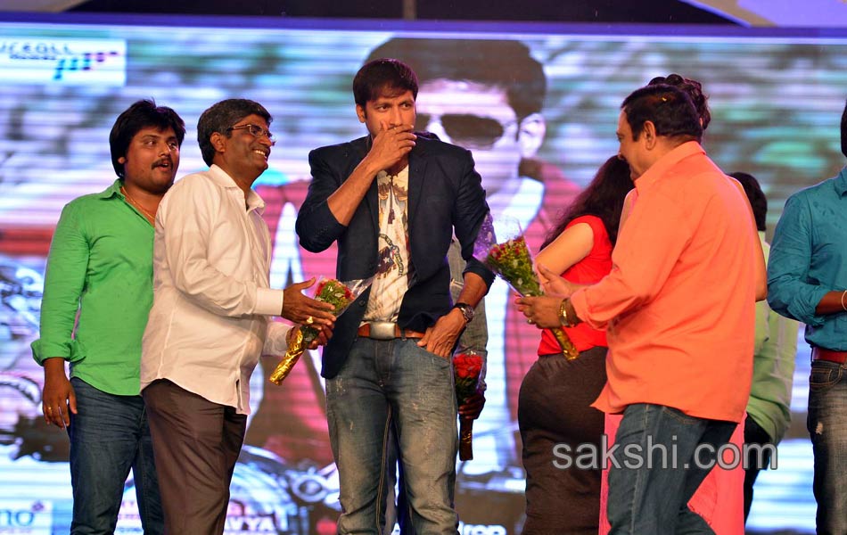 Loukyam Movie Audio Launch - Sakshi15