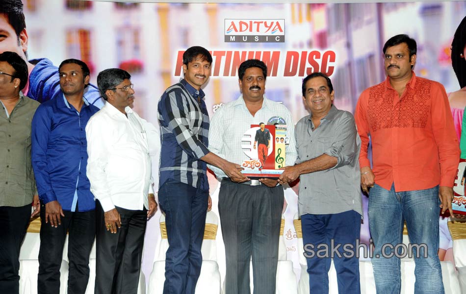 Loukyam Platinum disc function5