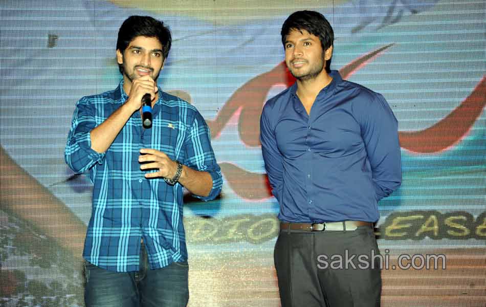 Joru Movie Audio Launch - Sakshi8