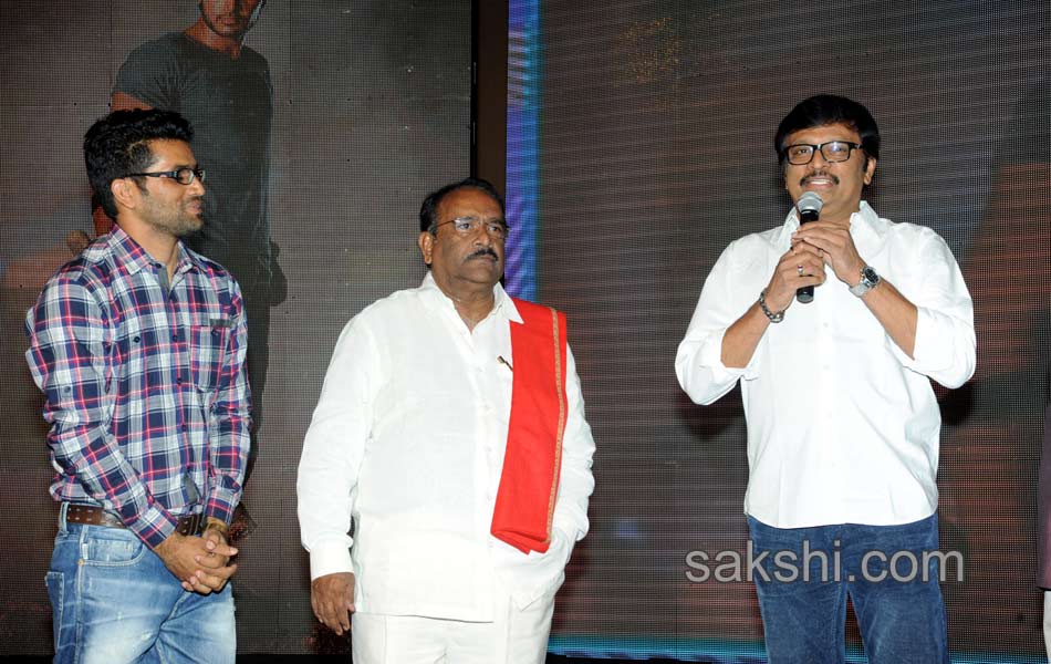 Joru Movie Audio Launch - Sakshi11