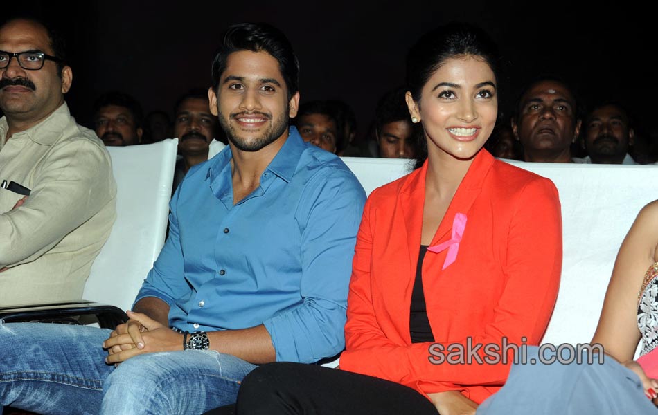 Oka Laila Kosam Audio Success Meet20