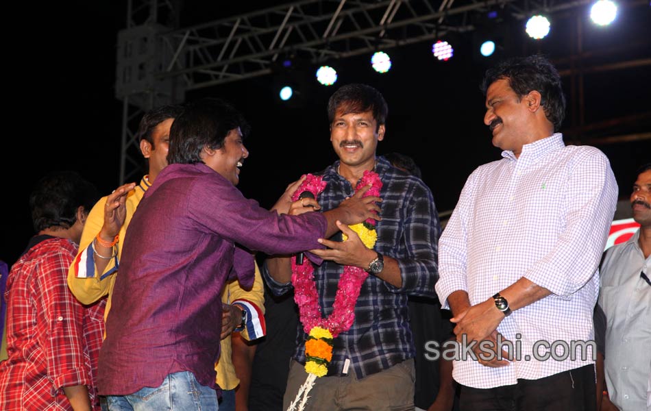 Loukyam Success Meet at Vizag18