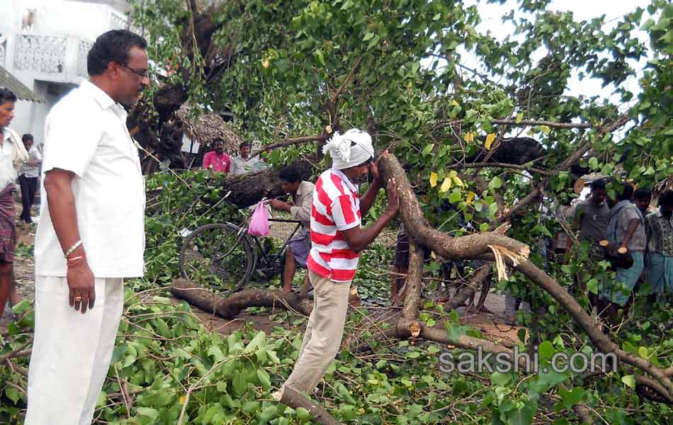 Cyclone Hudhud in Vizag - Sakshi12