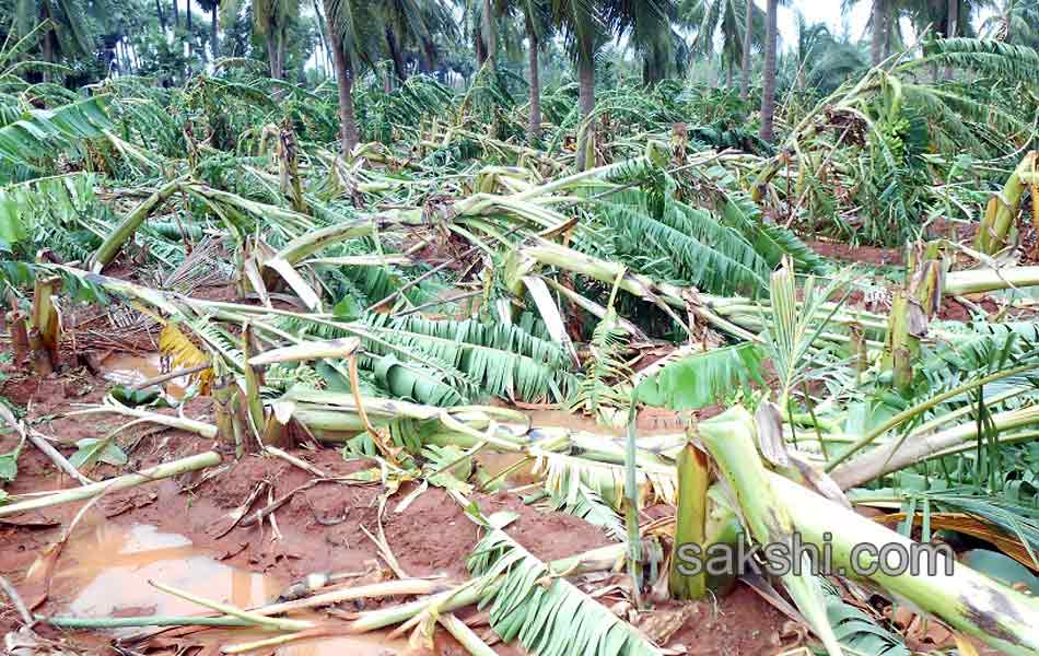 Cyclone Hudhud in Vizag - Sakshi15