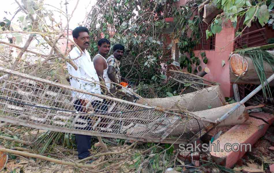 Normal life of North Andhra disturbed due to hudhud cyclone - Sakshi4