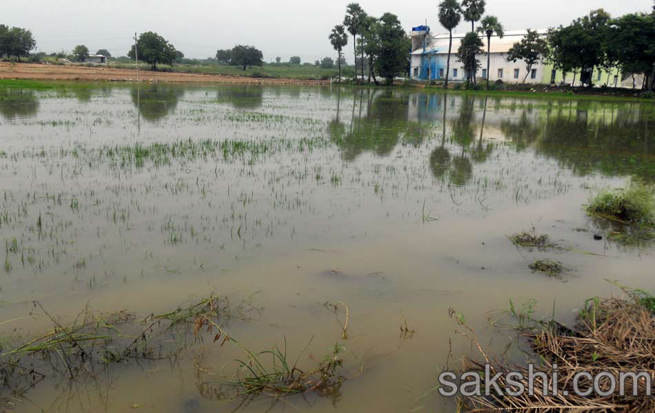 Heavy rains in guntur district - Sakshi12