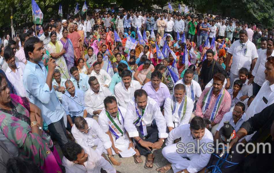 YSRCP porubata in andhra pradesh statewide - Sakshi27