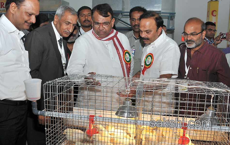 poultry india 2014 - Sakshi5