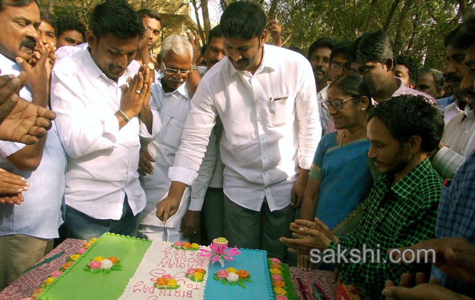 birthday celebrations of ys jagan in all ap districts - Sakshi6