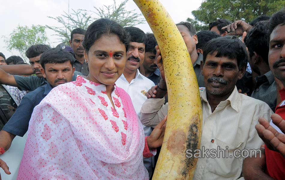 6th day of sharmila s tour in nalgonda district9