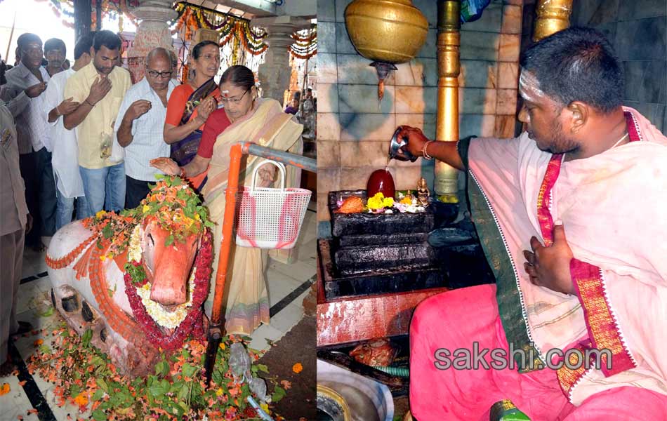 maha shivaratri festival in andhra pradesh - Sakshi24