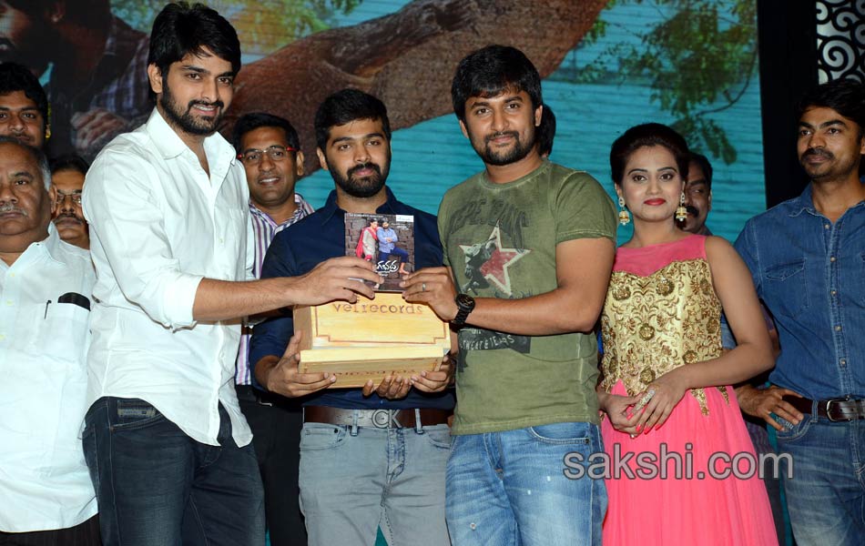 Tungabhadra Movie Audio Launch2