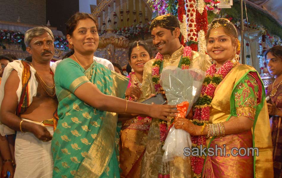 Kotam Reddy Sridhar Reddy daughter marriage - Sakshi8