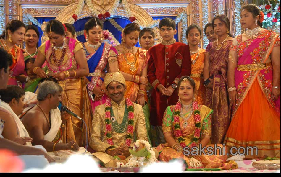 Kotam Reddy Sridhar Reddy daughter marriage - Sakshi11