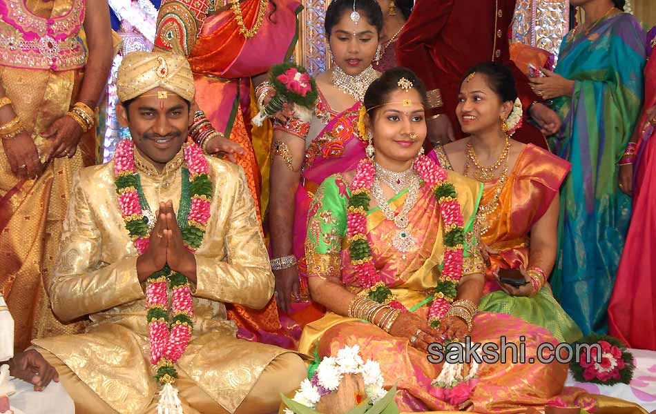 Kotam Reddy Sridhar Reddy daughter marriage - Sakshi13