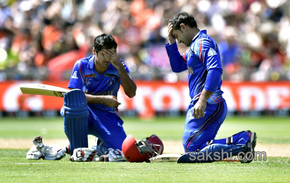 aghanistan vs newzealand match - Sakshi7