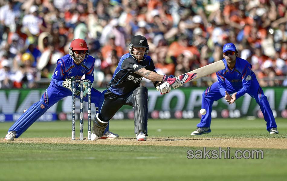 aghanistan vs newzealand match - Sakshi16