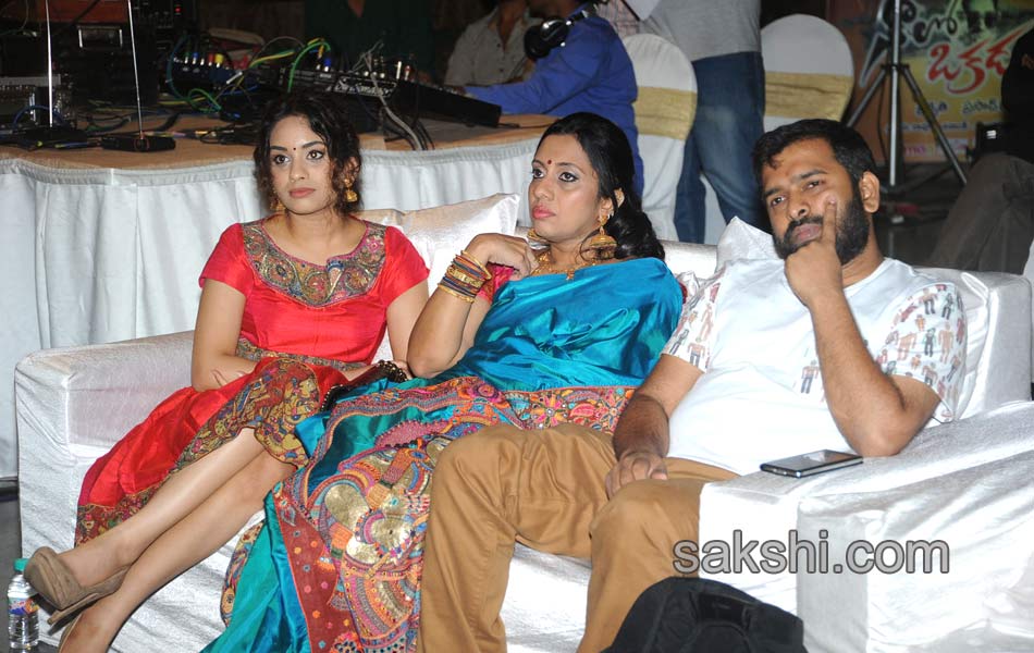 Naalo Okkadu audio launch - Sakshi9