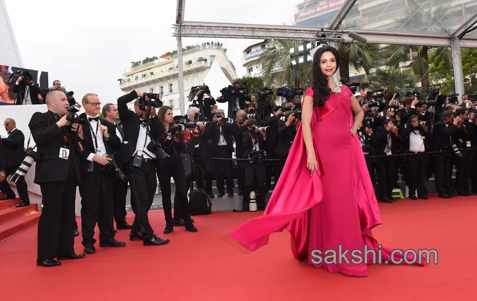 Cannes film festival4