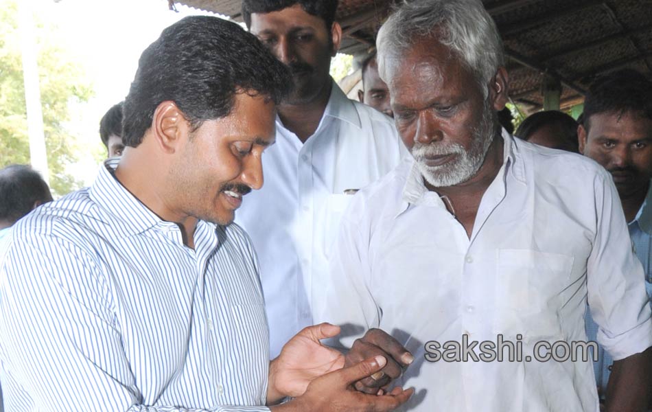 ys jagan mohan reddy - Sakshi15