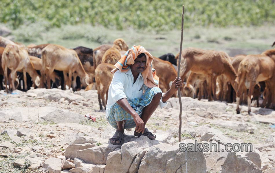 sammer in india6