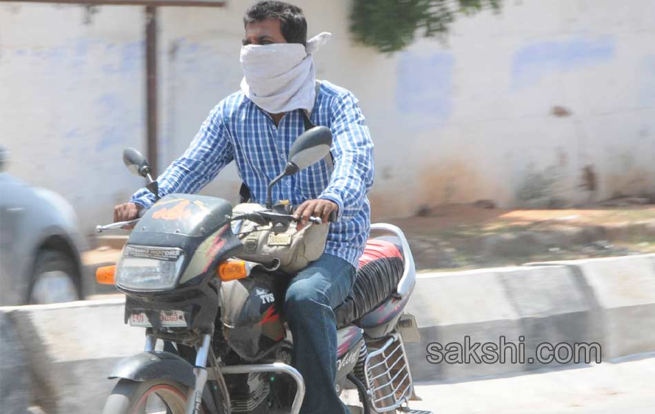 summer  in telangana6