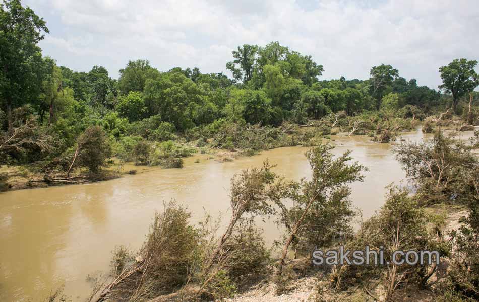 Floods in America - Sakshi9