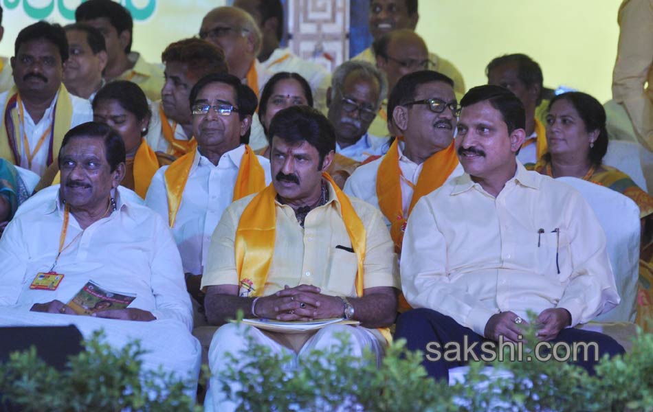 second day TDP Mahanadu - Sakshi22